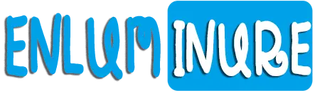 enluminures,l'Art royal du moyen age